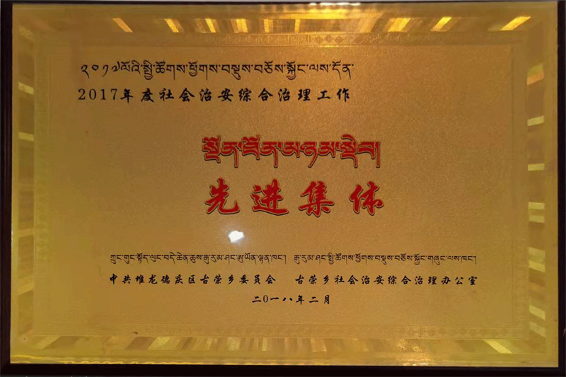2017年度社會(huì)治安綜合治理工作