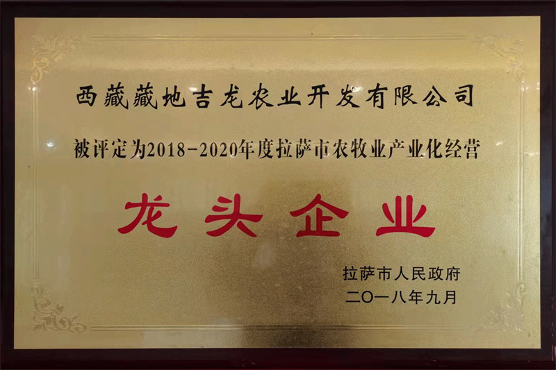 2018-2020市農(nóng)牧業(yè)產(chǎn)業(yè)化經(jīng)營龍頭企業(yè)
